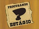 estágio.jpg