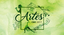 [artes-2017]-site-ifam-cmc.png