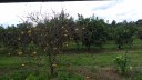 0000030921-IMG_20170518_111532561.jpg