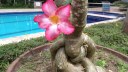 0000030923-IMG-20170518-WA0024.jpg