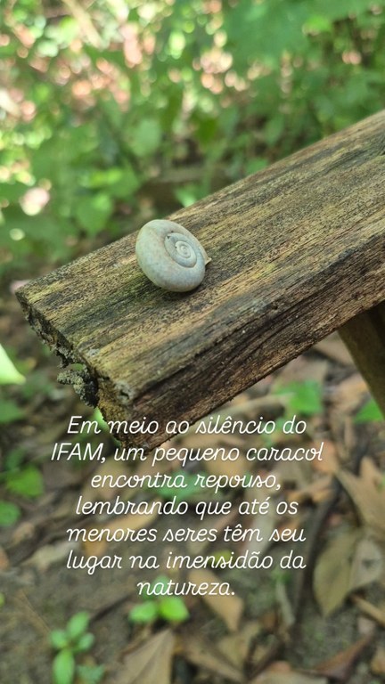 concurso.jpeg
