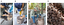 Imagem1.png