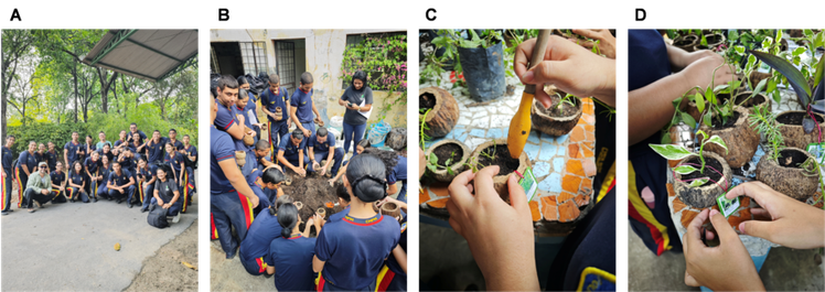 Figura 2. Fases do curso: preparação do substrato e das espécies de plantas selecionadas para a produção dos vasos ornamentais/medicinais. A- Registro da turma. B -  Preenchimento dos vasos após preparo do substrato. C – Repicagem e transplantio das mudas  D – Etiquetagem das mudas.