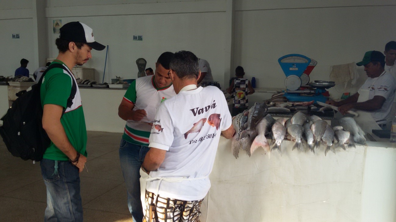 mercado2