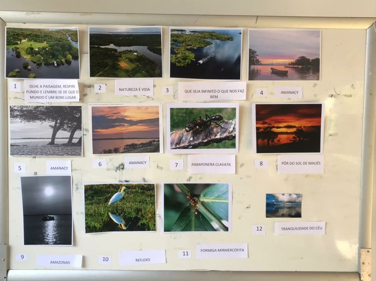 Concurso de fotografia 