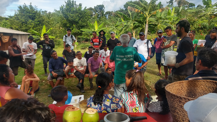 Curso de agroecologia 