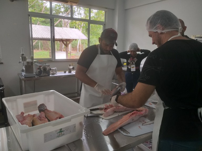 Manipulação e beneficiamento do pescado 