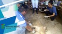 coagro.jpg
