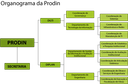 Organograma Prodin
